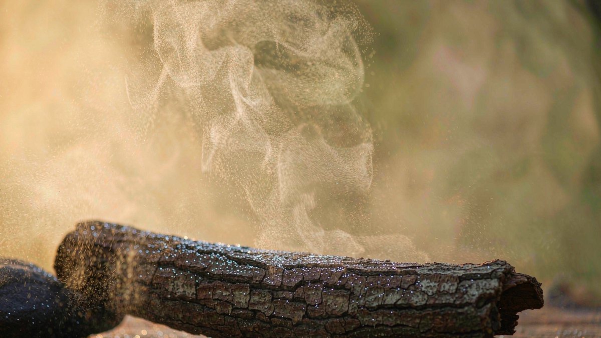 Song of Songs 4:14 — Myrrh and Aloes in the Garden